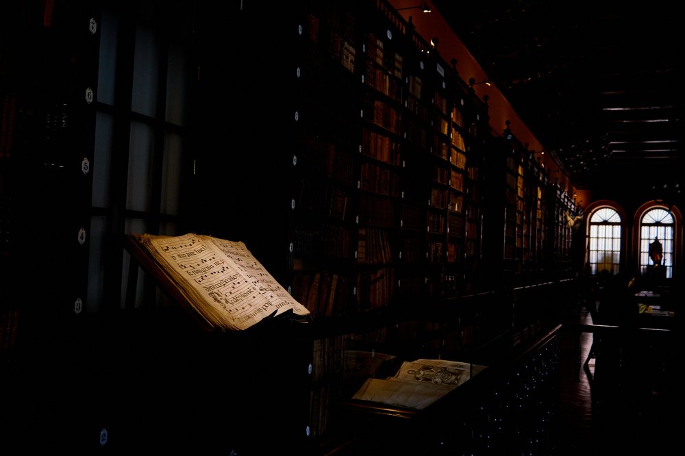 Photograph by Armando