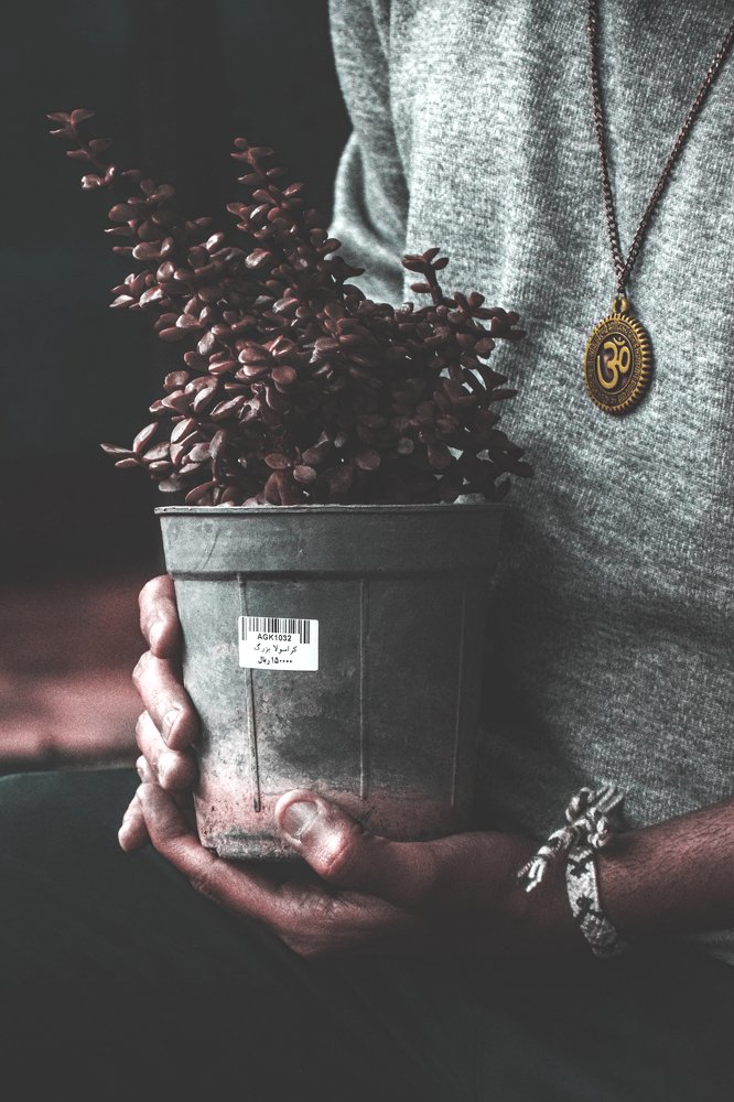 Photograph by Mahdi Tasvir