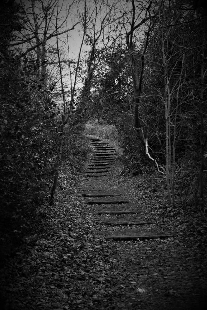 Photograph by Sebastian Ioan Pop