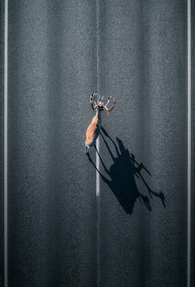 Photograph by Yura Borschev