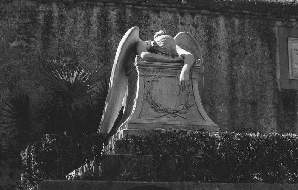 Photograph by Aleksandrs Zdancuks