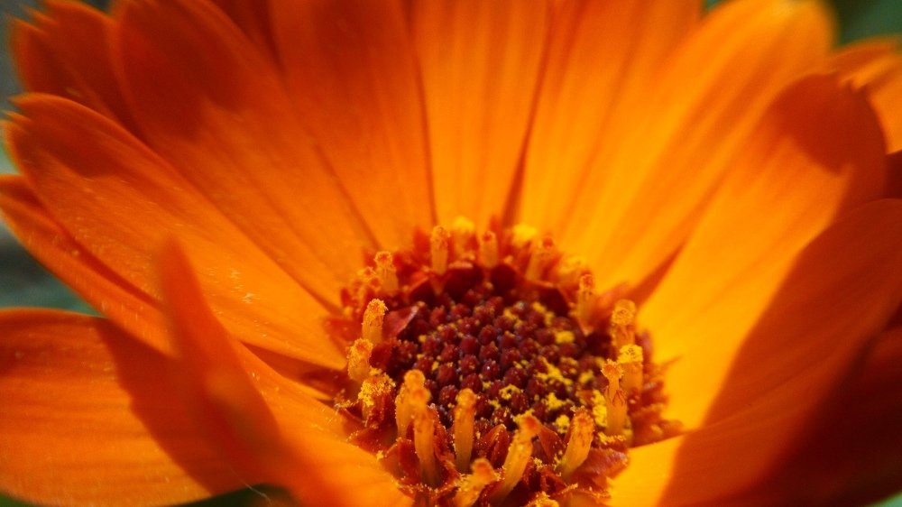 Photograph by Татьяна Кабанец