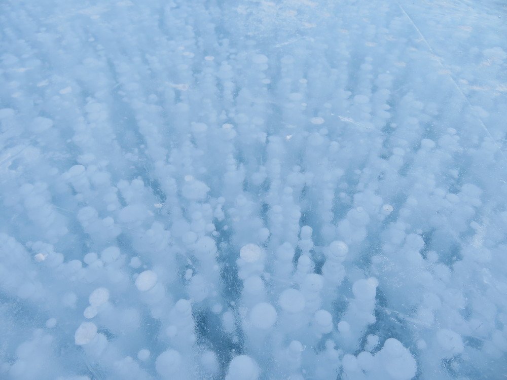 Photograph by Марина Осипова