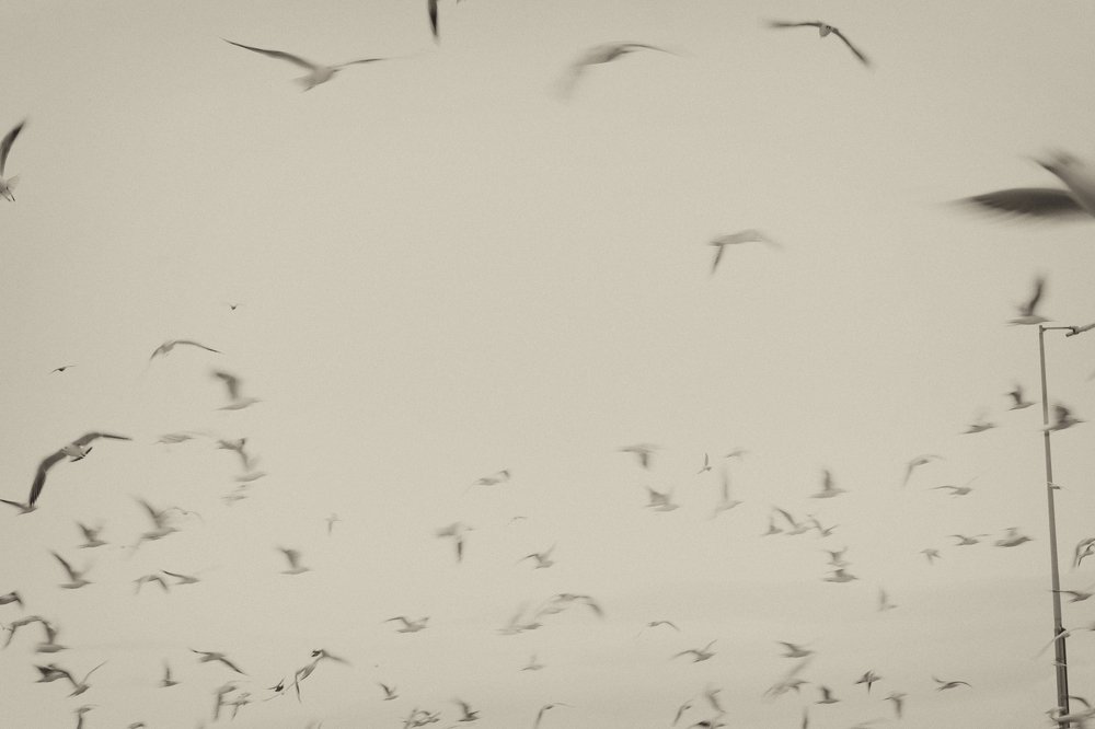 Photograph by Екатерина Матвеева