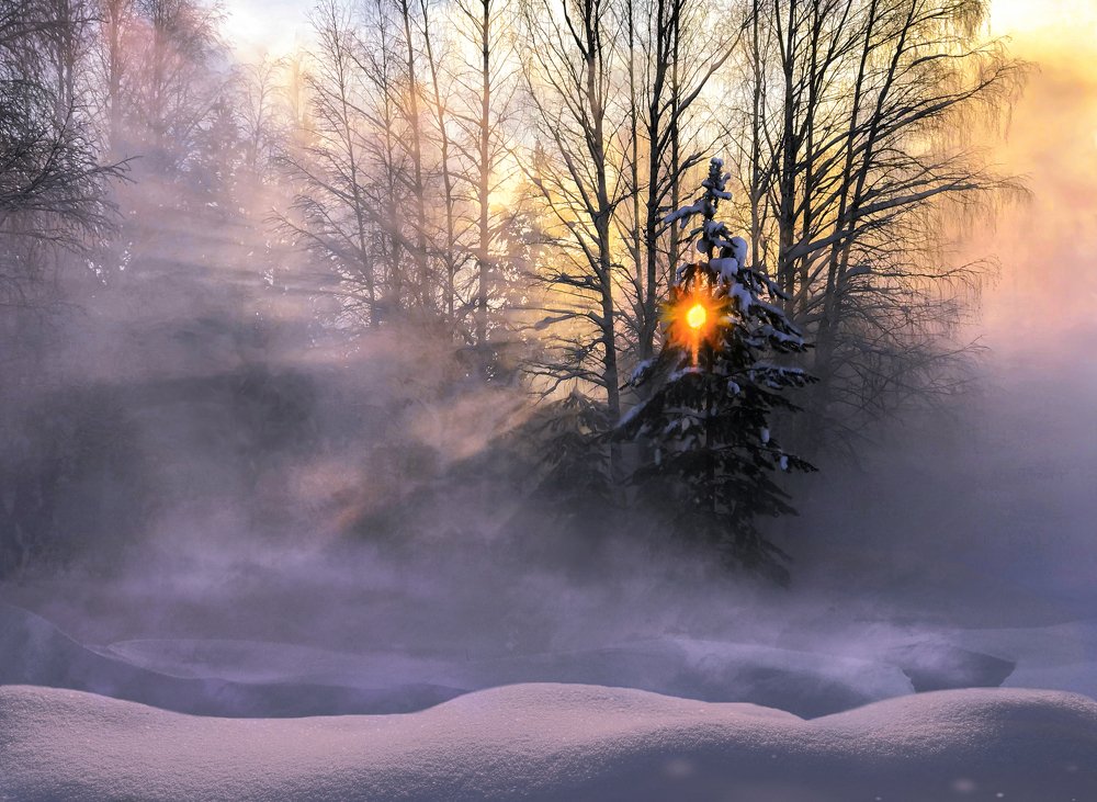 Февральский туман..