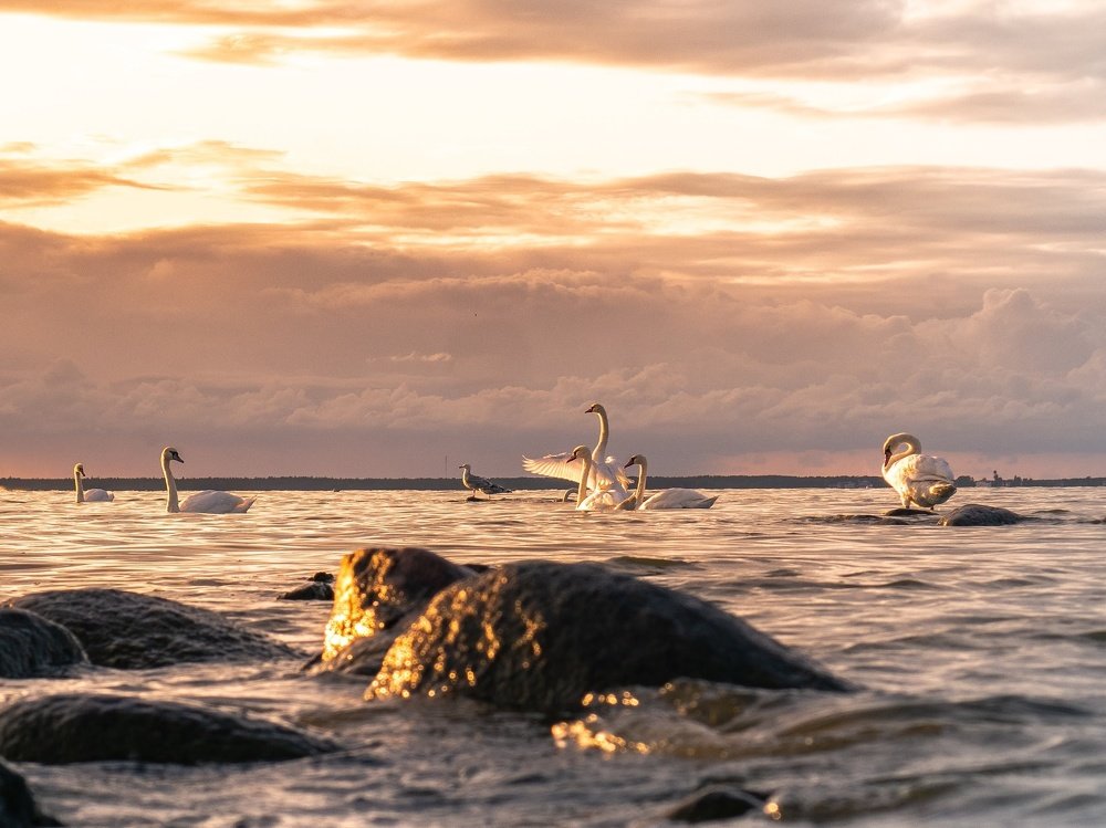 Photograph by Олег Букин