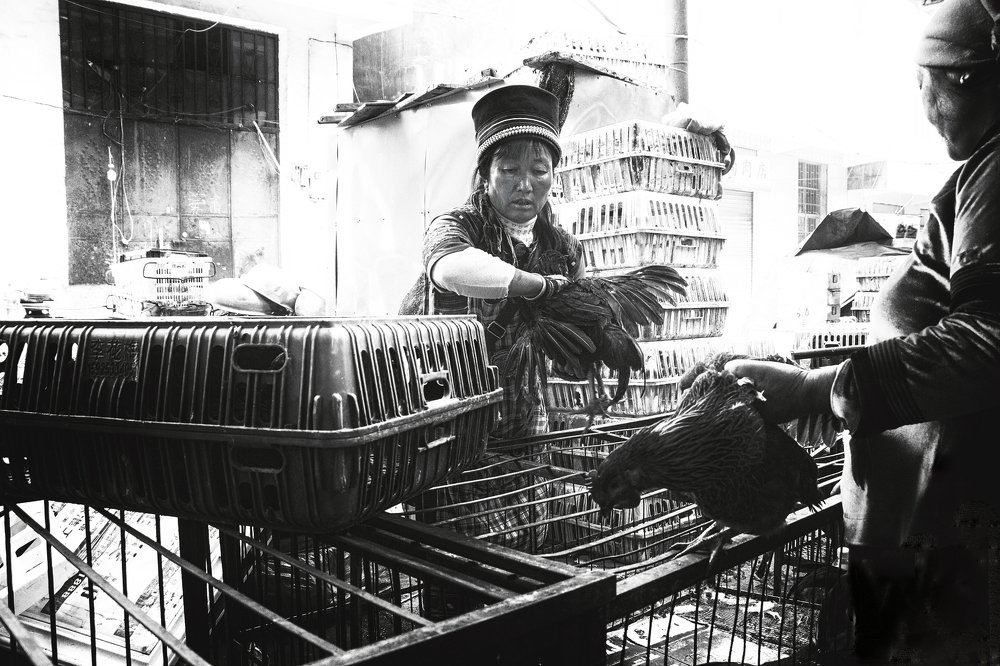 Photograph by Ivanka Iantcheva