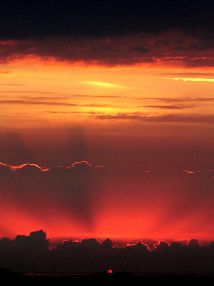 Photograph by Rene Roalf