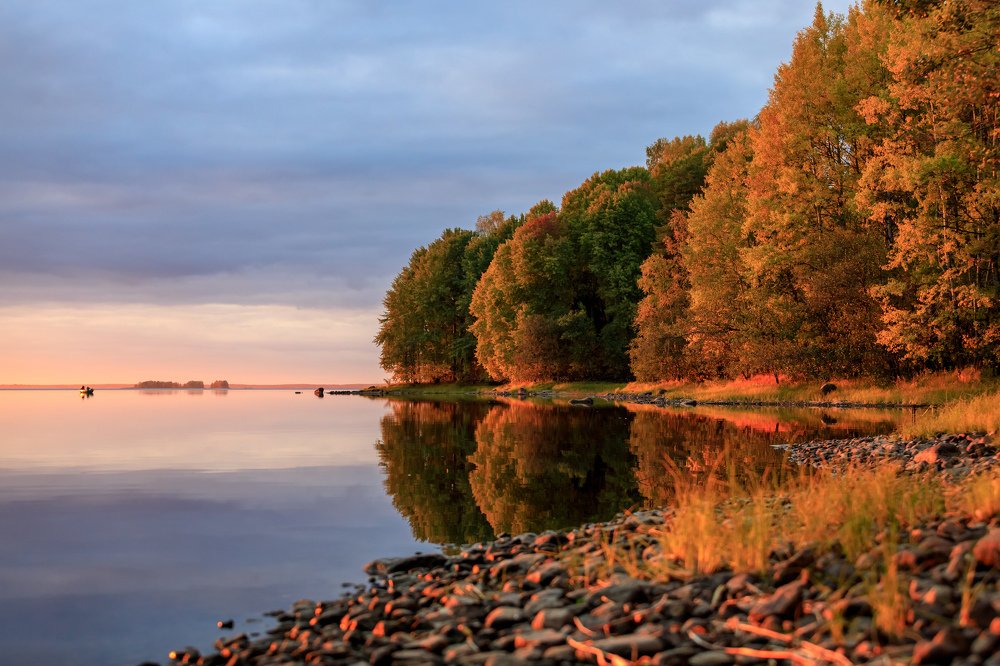 Фотография автора Альберт Мансуров