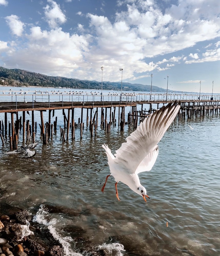 Photograph by Лули
