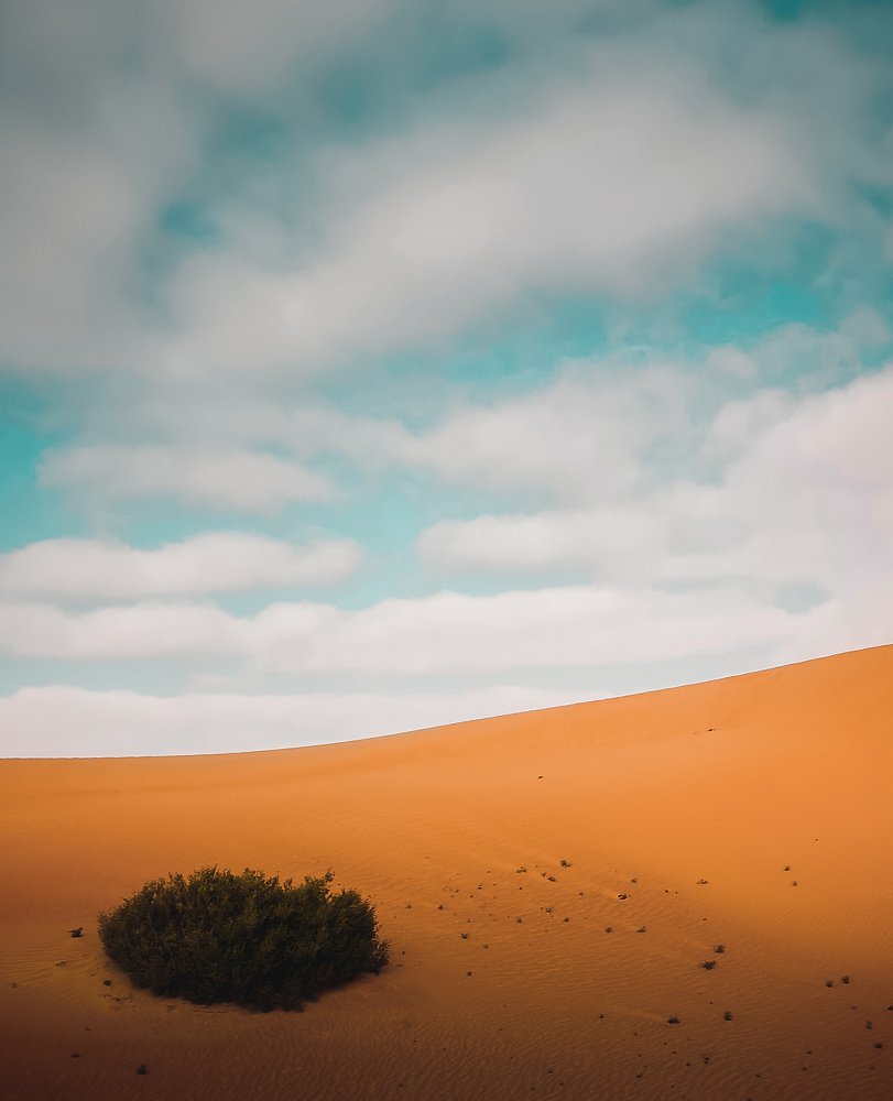 Photograph by Fatimah AlSabeeha