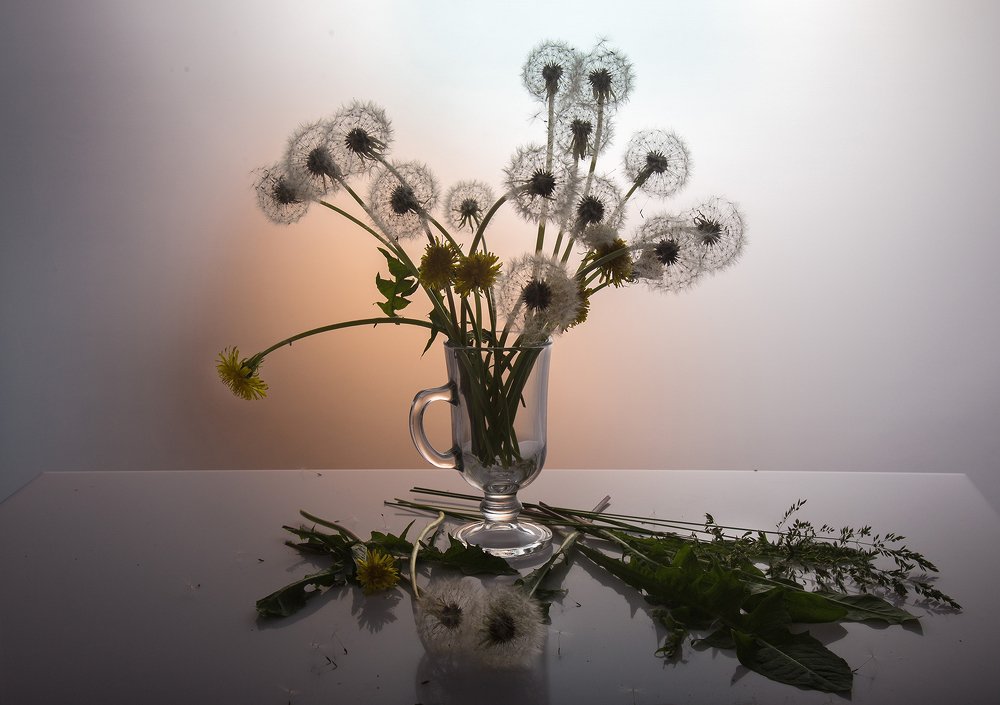 Дыхание весны