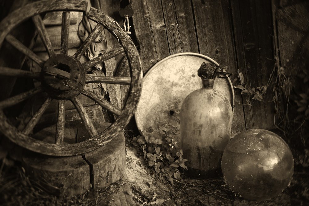 Photograph by Владимир Лосман