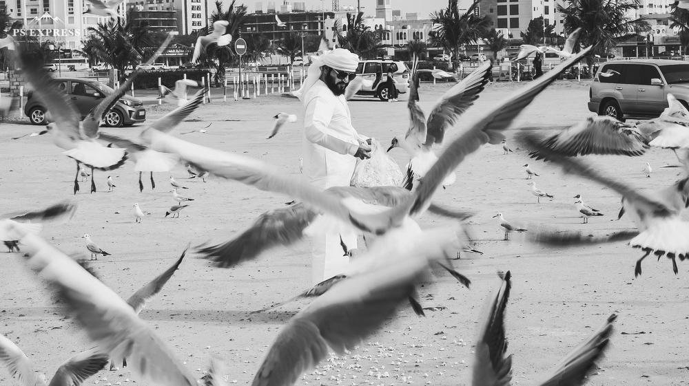 Photograph by Екатерина Матвеева