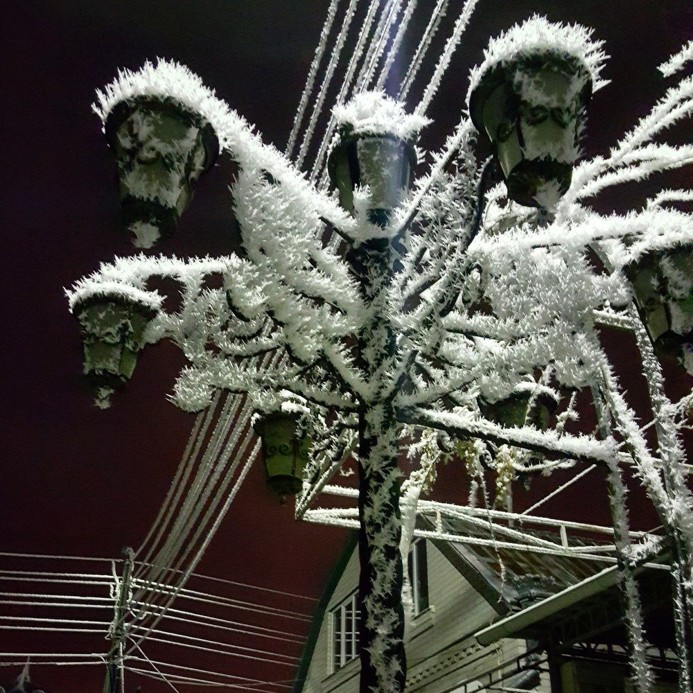 Колючая зима