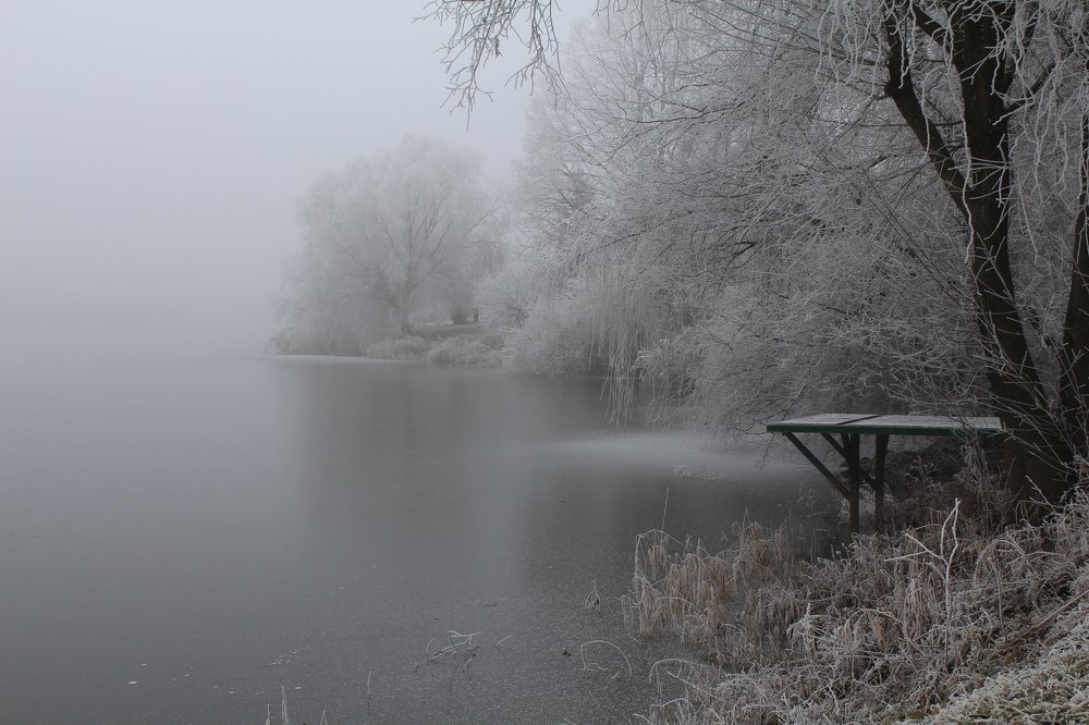 Photograph by Елена Боганова