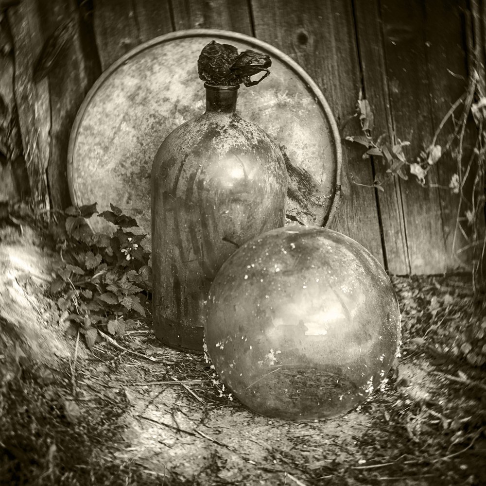 Photograph by Владимир Лосман