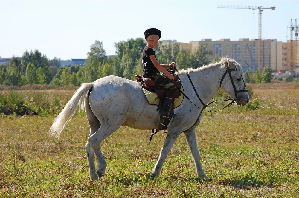 Photograph by Вольтова Наталья