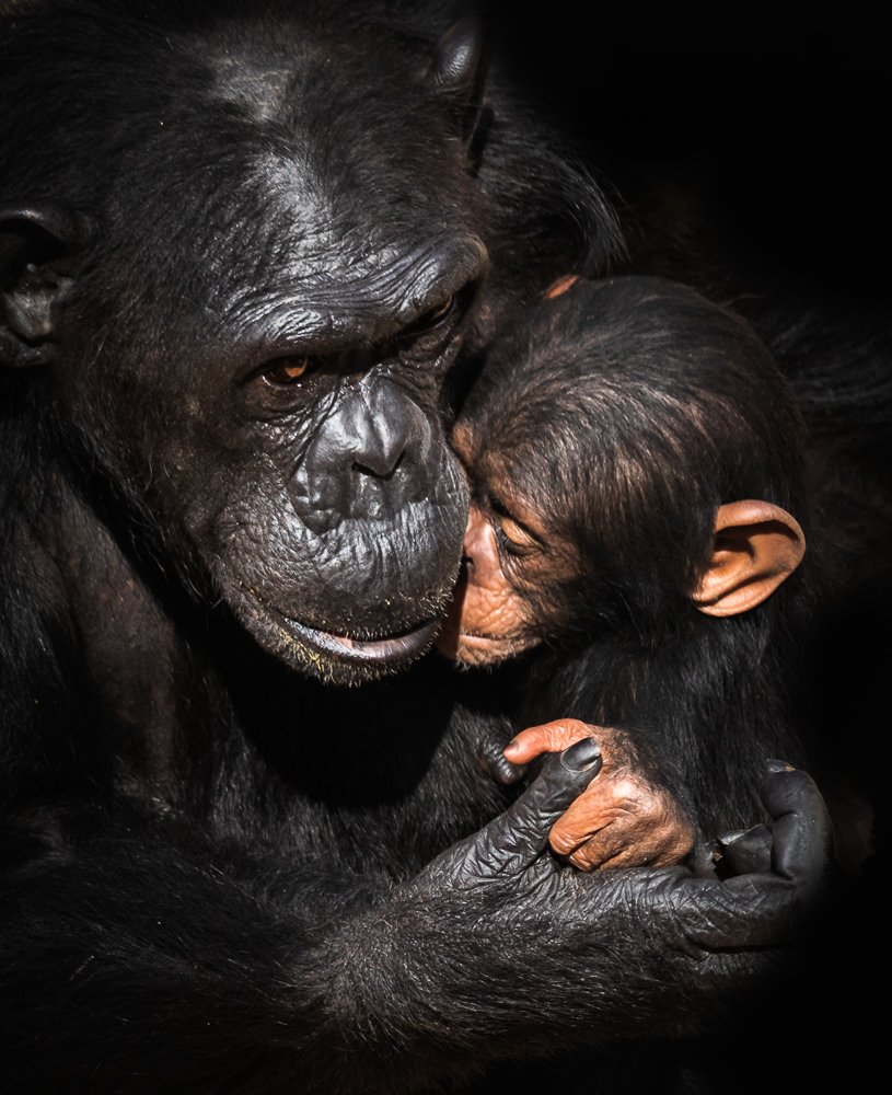 Photograph by MOHAMED HUSSAIN YOUNIS