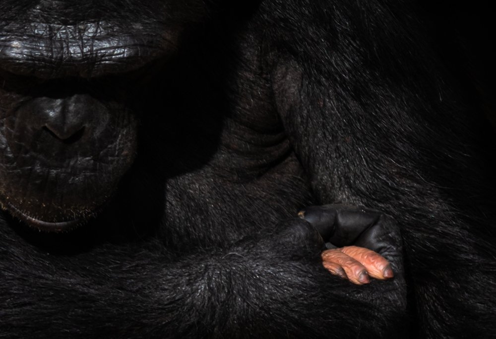 Photograph by MOHAMED HUSSAIN YOUNIS