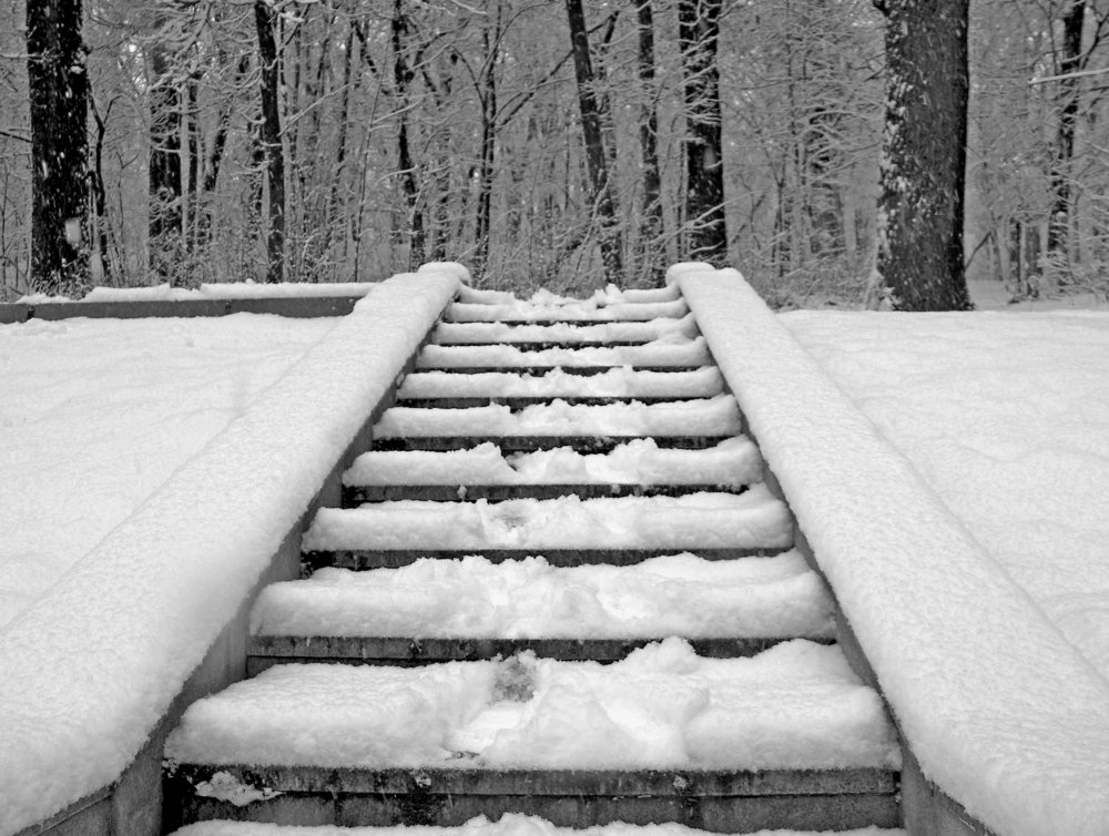 Лестница в природу