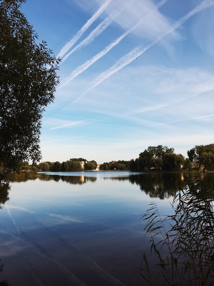 Photograph by Юлия Подкопаева