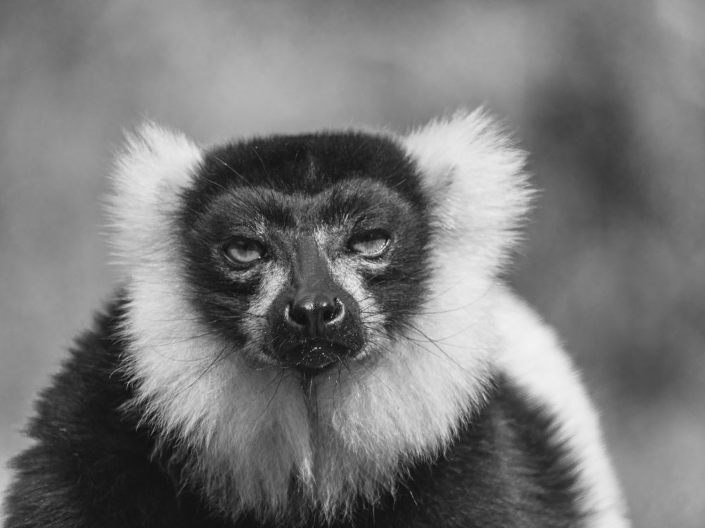 Photograph by Kevin Benckendorf