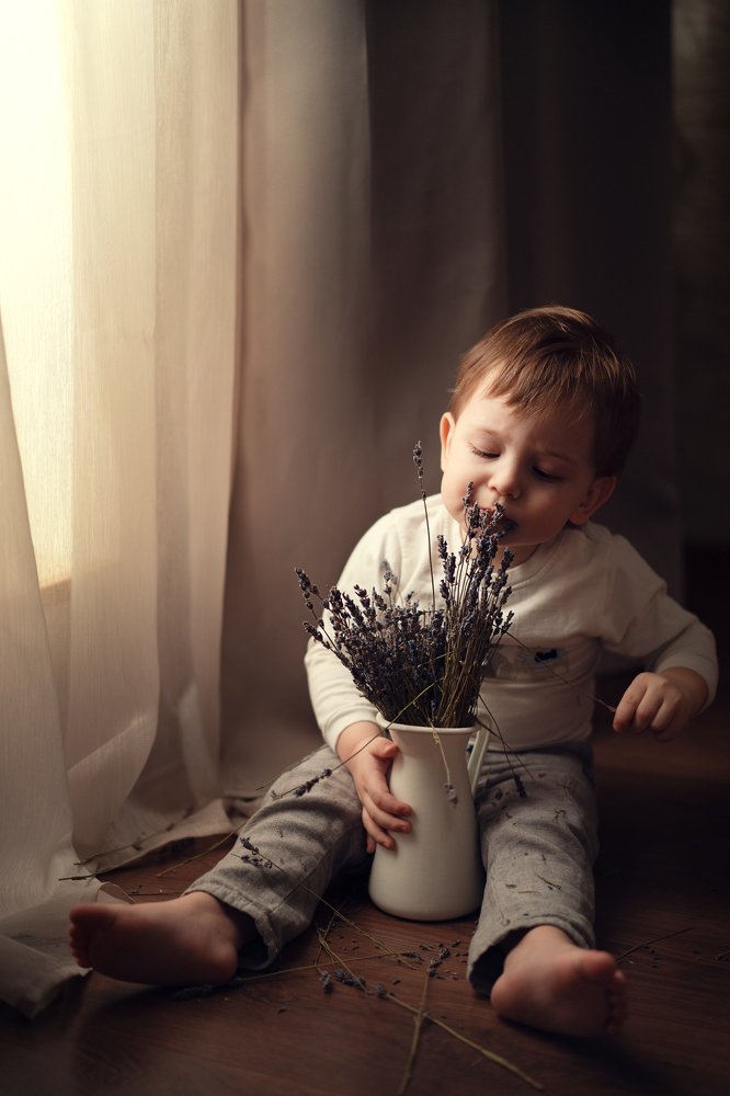 Taste of the Lavender