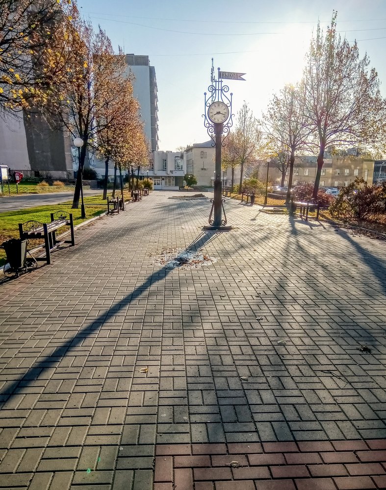 И снова в ноябре +15