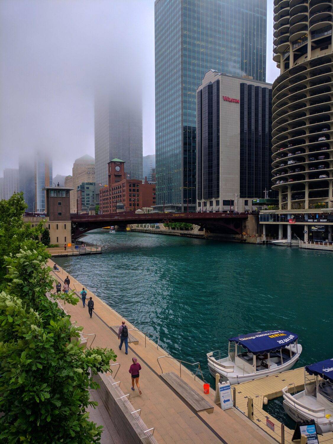 A cold morning in the windy city