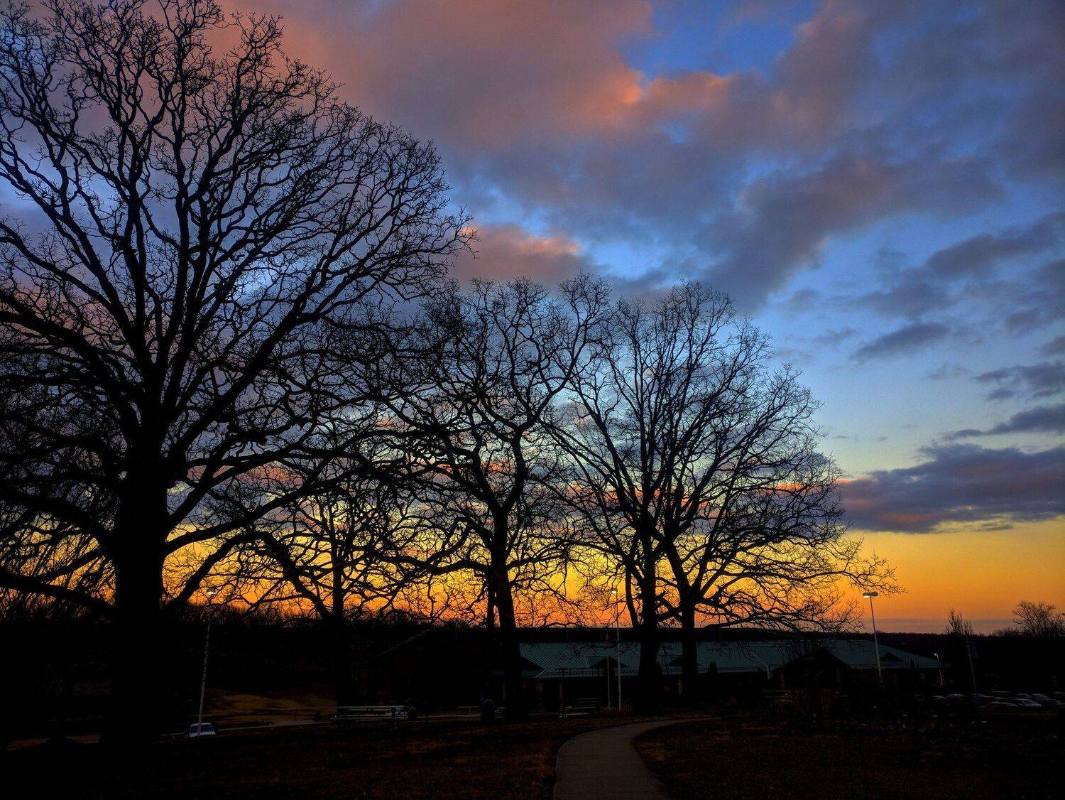 Photo #4400360