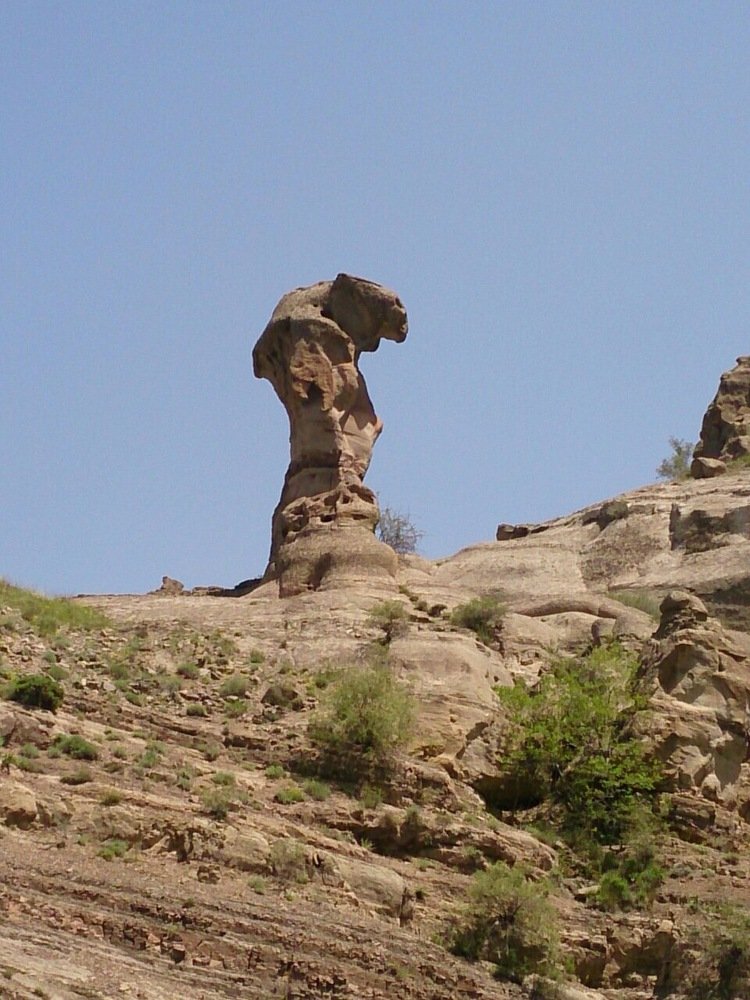 Photograph by Hosein Shokri