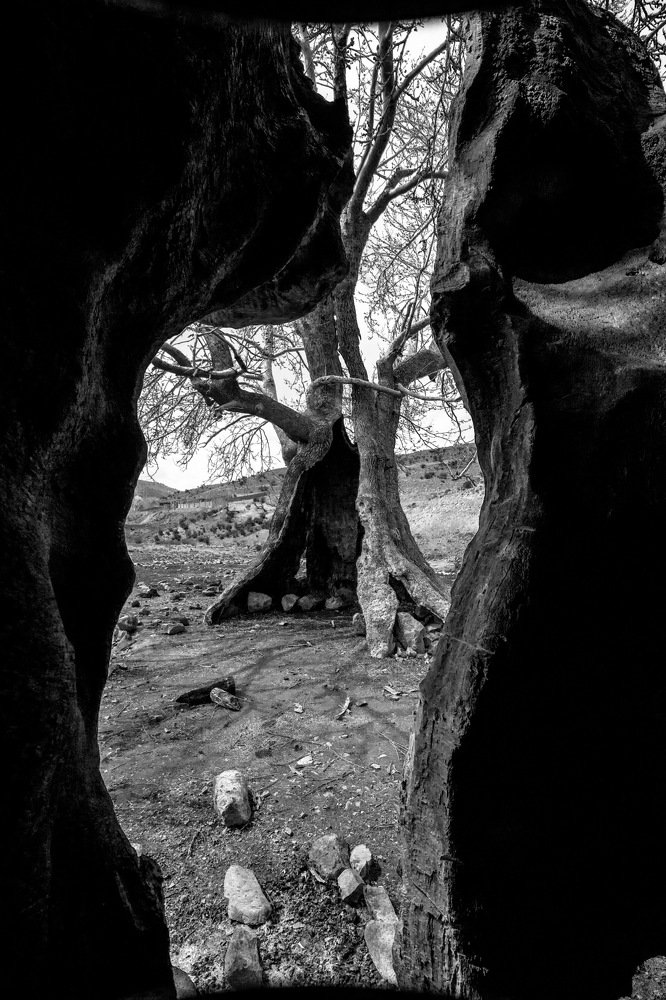 Photograph by Ali mohammad Hoseinzadeh