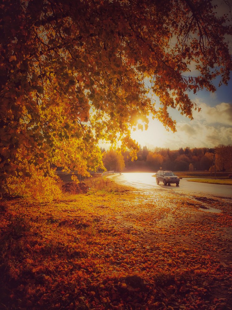 Photograph by Ekaterina Fadeeva