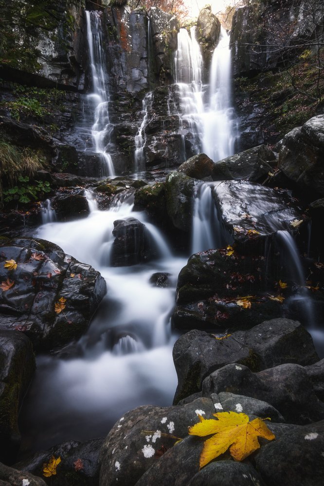 Photograph by Mattia Maniezzo