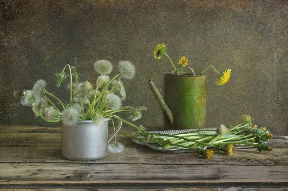 Photograph by Елизавета Шавардина