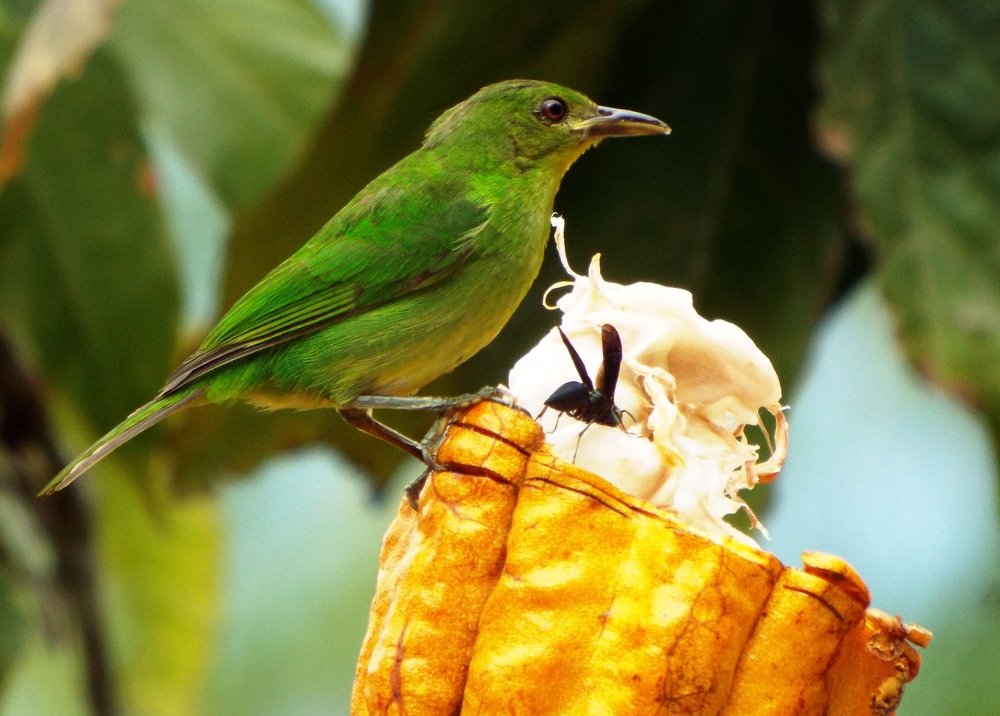 Photograph by Augusto Muñoz Bonilla