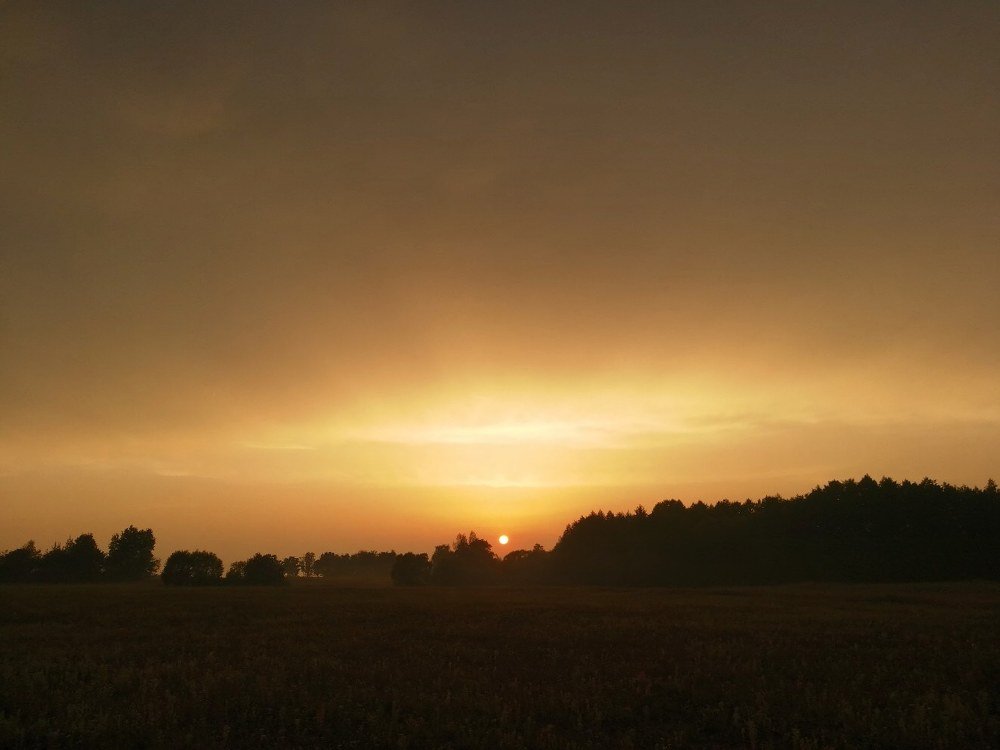 Аромат дождя