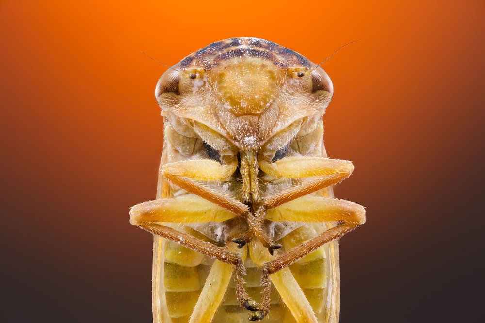 Photograph by Иван Михайлов