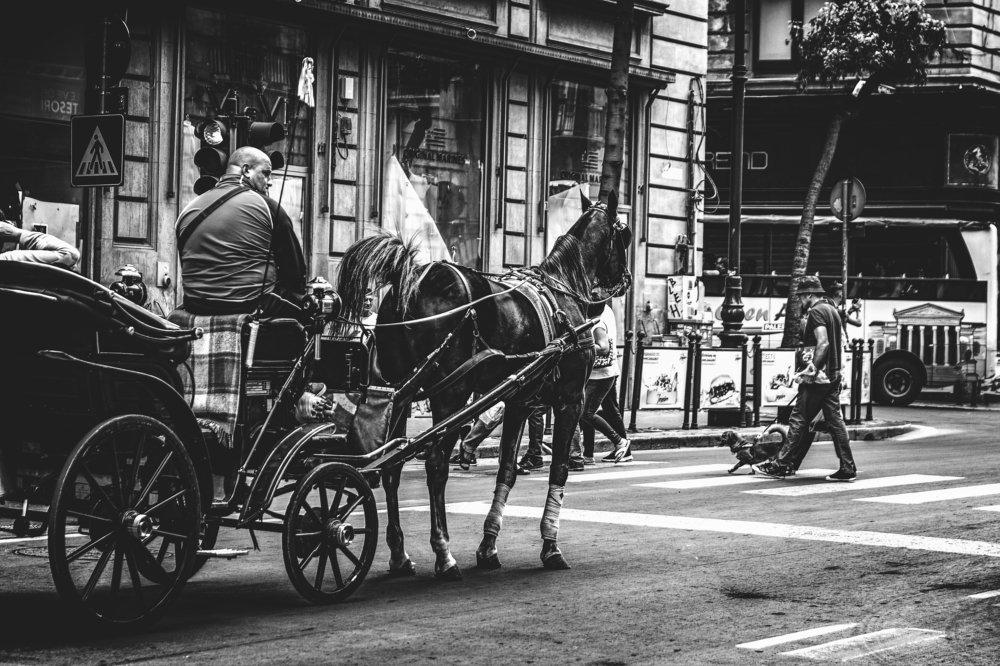 Photograph by GIUSEPPE VELLA