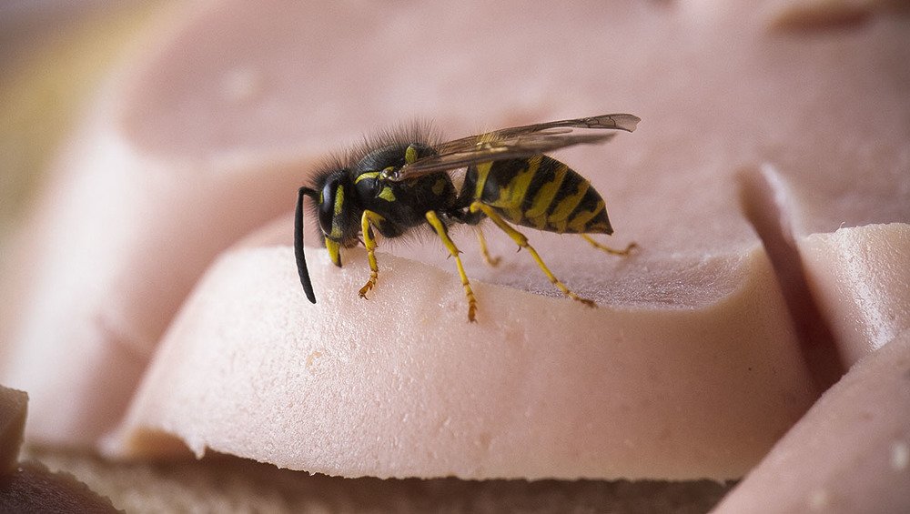 Photograph by Евгений Барзенков