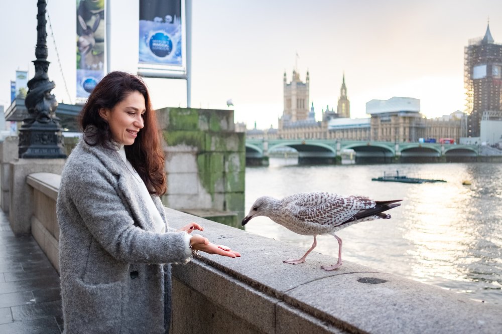 Photograph by Julia Mustard