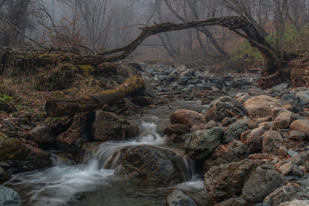 Photograph by Арсен Алабердов