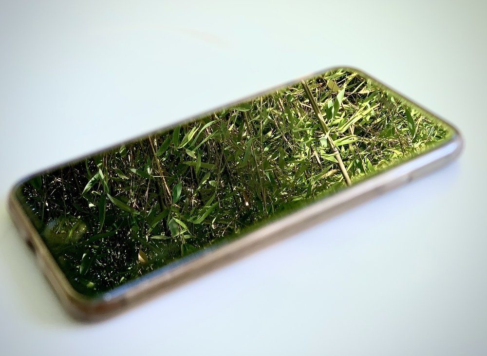 Photograph by Valeriia Tekeli