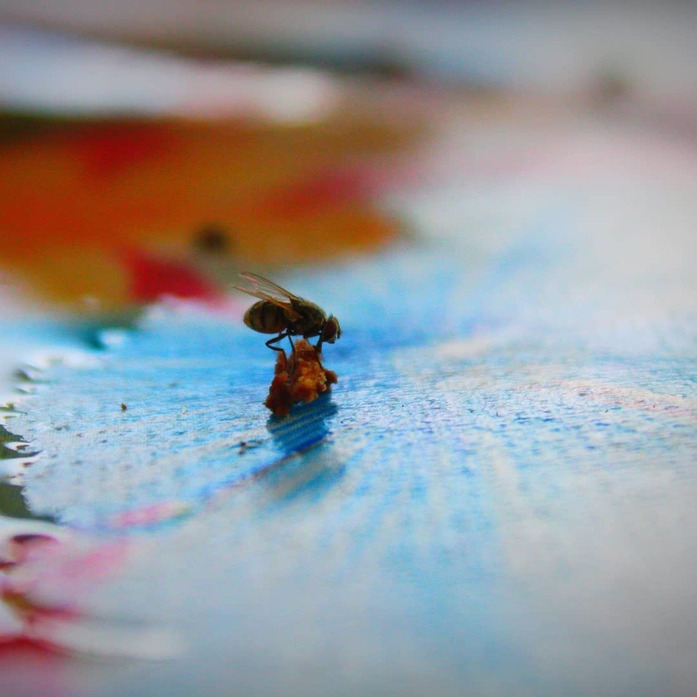 Photograph by Mohd Syahrin Zainal