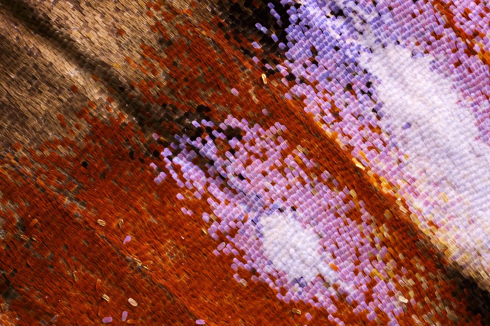 Photograph by Иван Михайлов