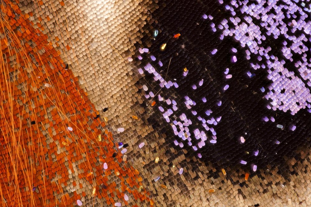 Photograph by Иван Михайлов