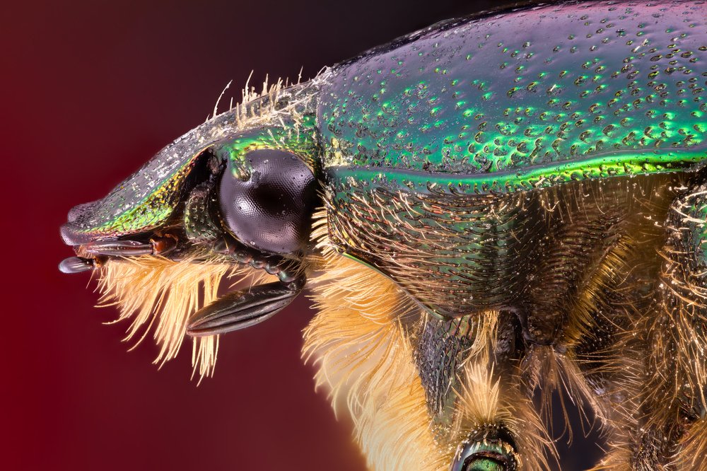 Photograph by Иван Михайлов