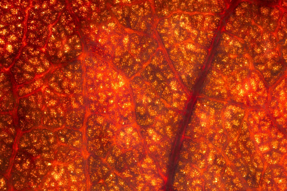 Photograph by Иван Михайлов