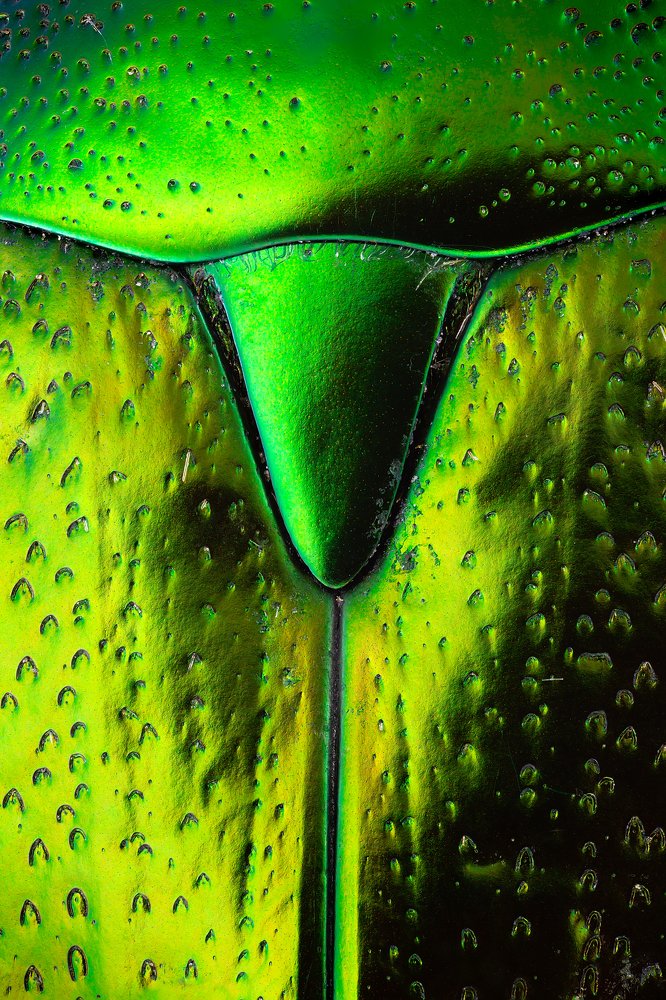 Photograph by Иван Михайлов